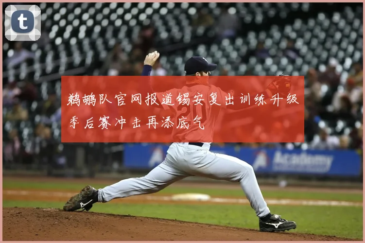 鹈鹕队官网报道锡安复出训练升级季后赛冲击再添底气