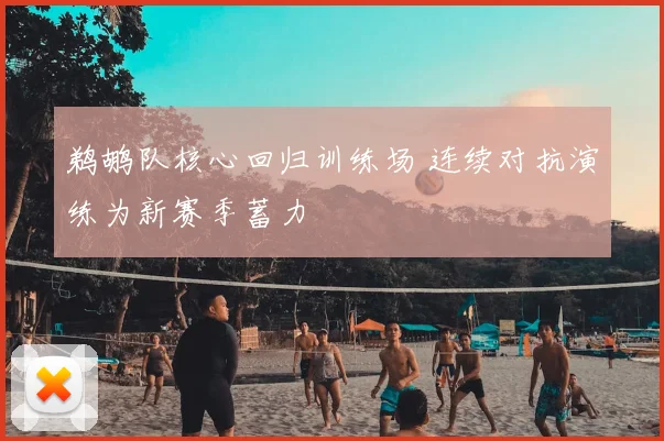鹈鹕队核心回归训练场 连续对抗演练为新赛季蓄力