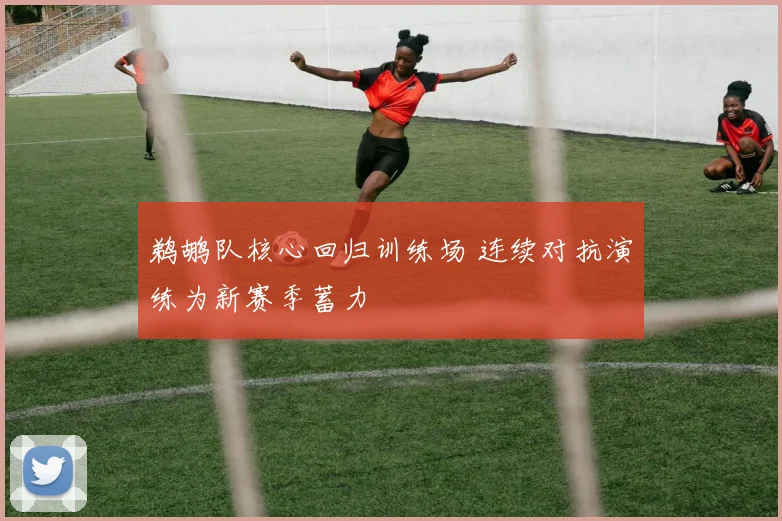 鹈鹕队核心回归训练场 连续对抗演练为新赛季蓄力