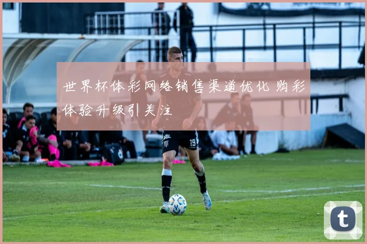 世界杯体彩网络销售渠道优化 购彩体验升级引关注