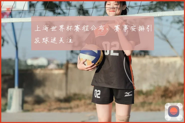 上海世界杯赛程公布,赛事安排引发球迷关注