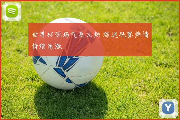 世界杯现场气氛火热 球迷观赛热情持续高涨