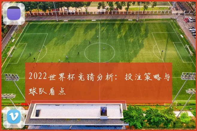 2022世界杯竞猜分析：投注策略与球队看点