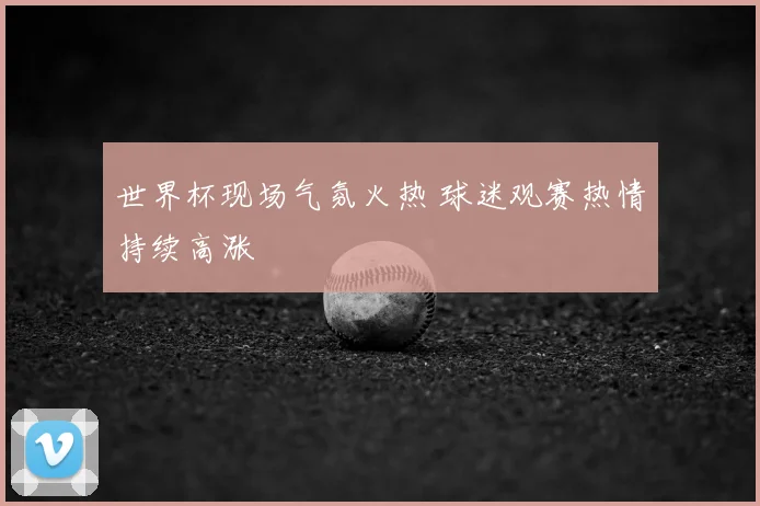 世界杯现场气氛火热 球迷观赛热情持续高涨