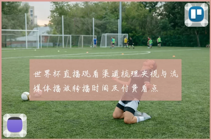 世界杯直播观看渠道梳理央视与流媒体播放转播时间及付费看点