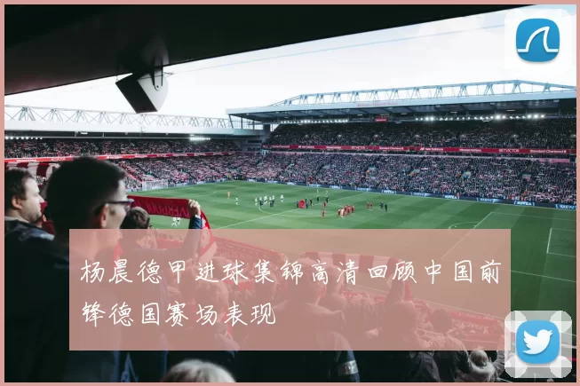 杨晨德甲进球集锦高清回顾中国前锋德国赛场表现